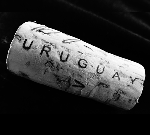 Uruguay wijn